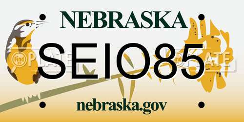 SEIO85 Nebraska License Plate