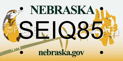 SEIQ85 Nebraska License Plate