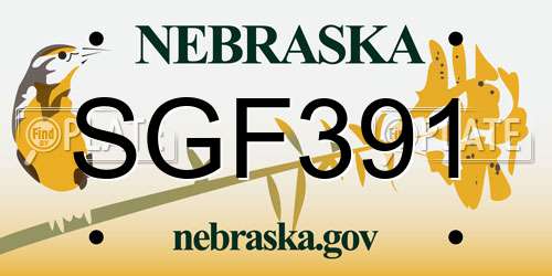 SGF391 Nebraska License Plate