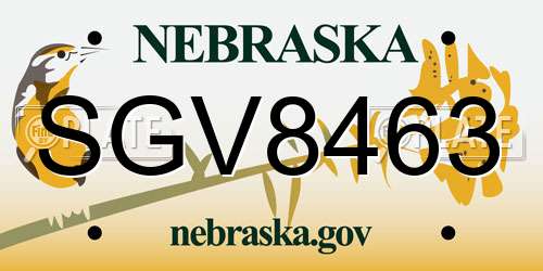 SGV8463 Nebraska License Plate