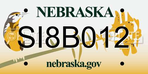 SI8B012 Nebraska License Plate