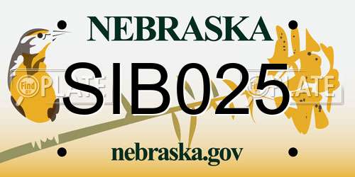 SIB025 Nebraska License Plate
