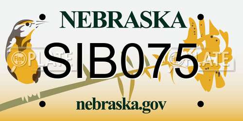 SIB075 Nebraska License Plate