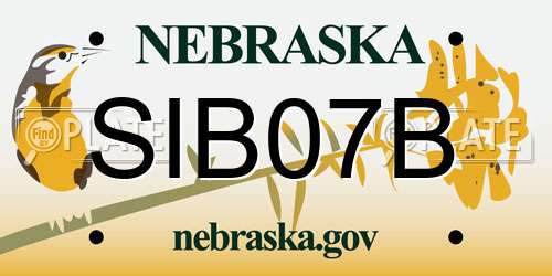 SIB07B Nebraska License Plate