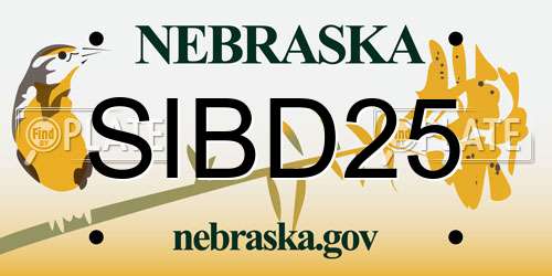 SIBD25 Nebraska License Plate