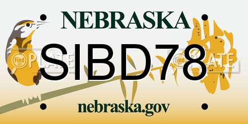 SIBD78 Nebraska License Plate