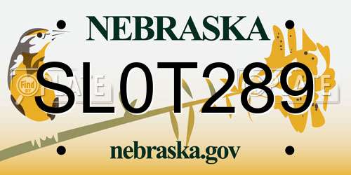 SL0T289 Nebraska License Plate