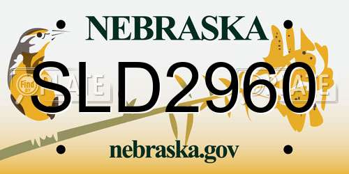 SLD2960 Nebraska License Plate
