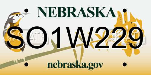 SO1W229 Nebraska License Plate