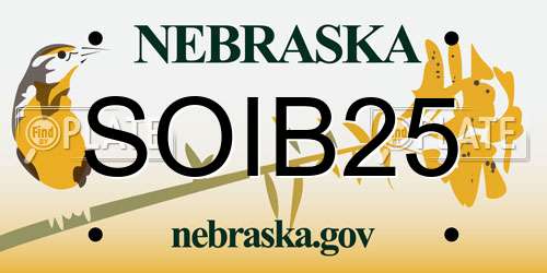 SOIB25 Nebraska License Plate