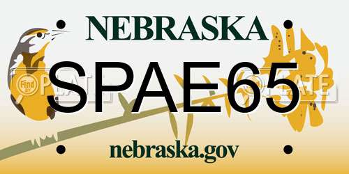 SPAE65 Nebraska License Plate