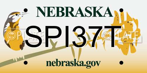 SPI37T Nebraska License Plate