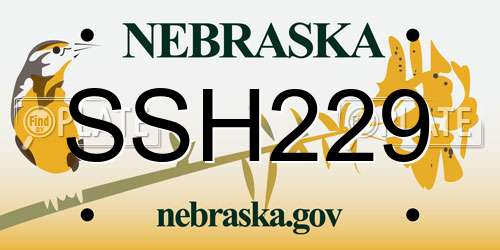 SSH229 Nebraska License Plate