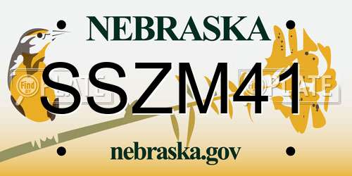 SSZM41 Nebraska License Plate