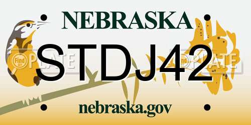 STDJ42 Nebraska License Plate