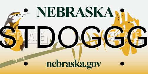 STDOGGG Nebraska License Plate