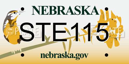 STE115 Nebraska License Plate