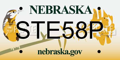 STE58P Nebraska License Plate