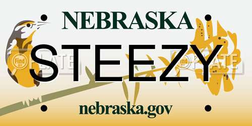 STEEZY Nebraska License Plate