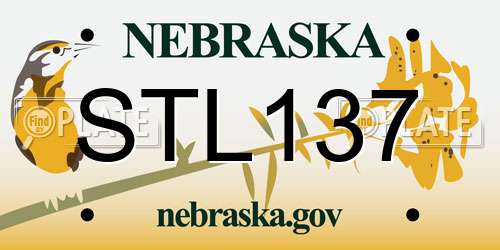 STL137 Nebraska License Plate