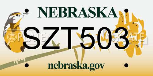 SZT503 Nebraska License Plate