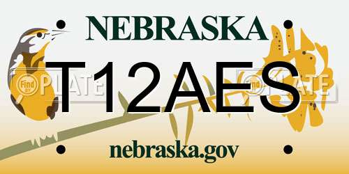 T12AES Nebraska License Plate