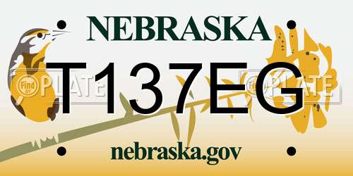T137EG Nebraska License Plate