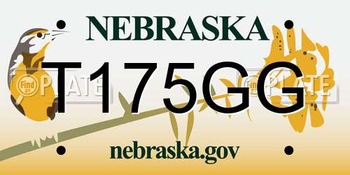 T175GG Nebraska License Plate