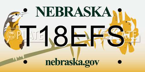 T18EFS Nebraska License Plate