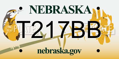 T217BB Nebraska License Plate