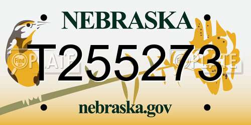 T255273 Nebraska License Plate