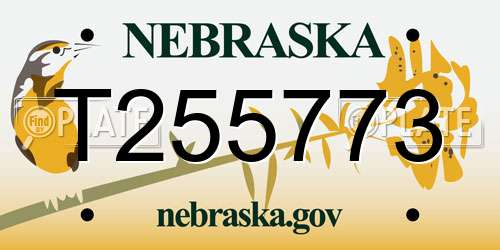 T255773 Nebraska License Plate