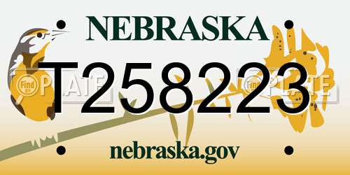 T258223 Nebraska License Plate