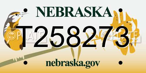 T258273 Nebraska License Plate