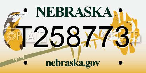 T258773 Nebraska License Plate