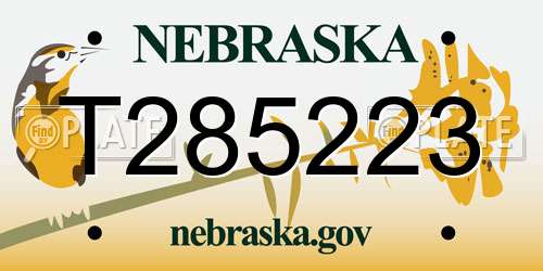 T285223 Nebraska License Plate