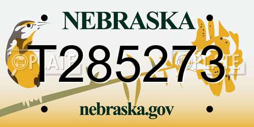 T285273 Nebraska License Plate