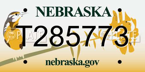 T285773 Nebraska License Plate