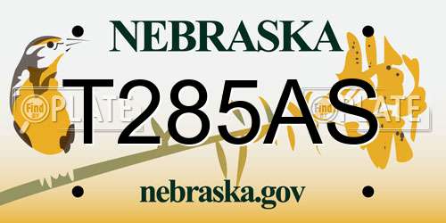T285AS Nebraska License Plate