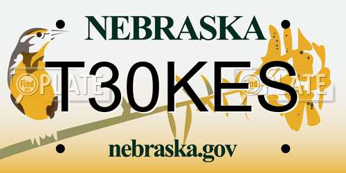 T30KES Nebraska License Plate