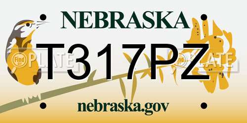 T317PZ Nebraska License Plate