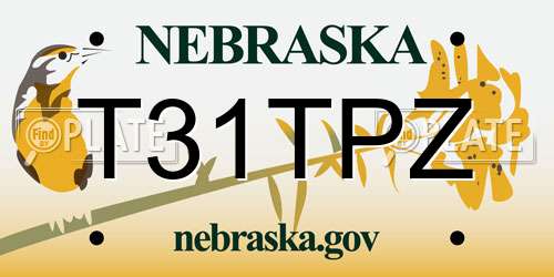 T31TPZ Nebraska License Plate