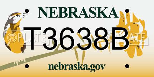 T3638B Nebraska License Plate