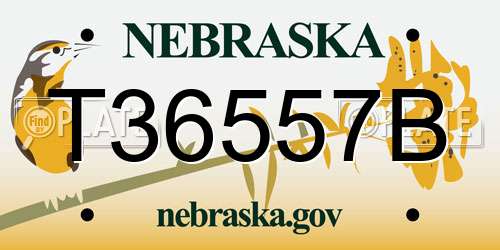 T36557B Nebraska License Plate