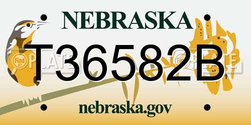 T36582B Nebraska License Plate