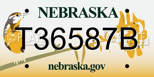 T36587B Nebraska License Plate