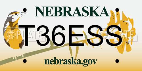 T36ESS Nebraska License Plate