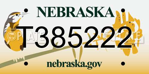T385222 Nebraska License Plate