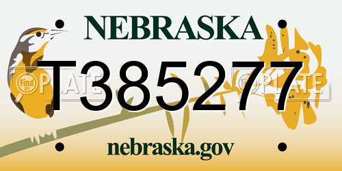 T385277 Nebraska License Plate