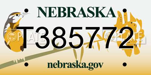 T385772 Nebraska License Plate